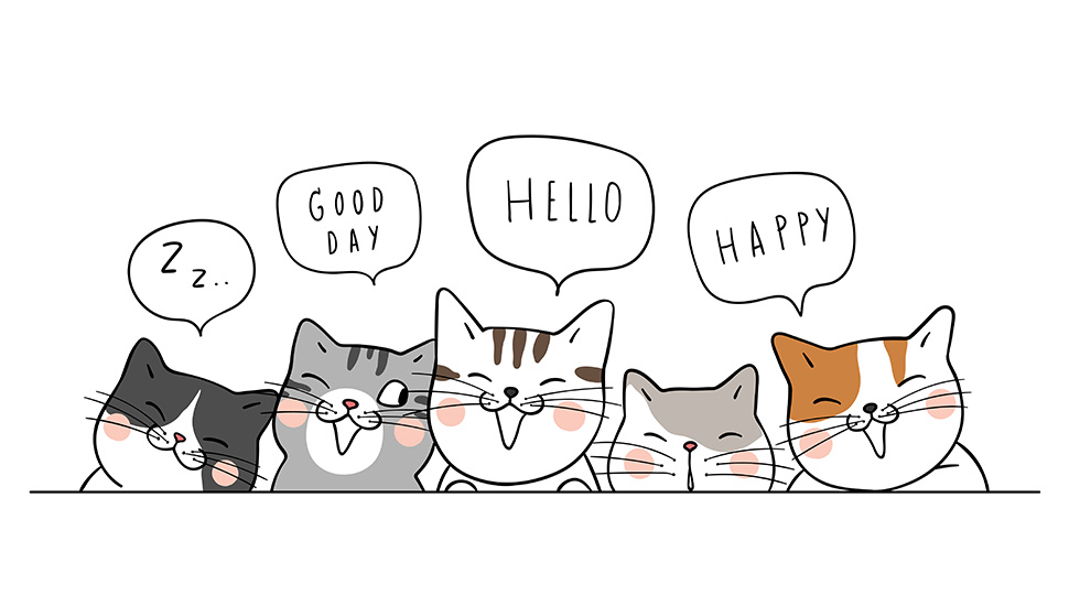 Saying Hello