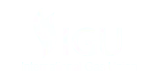 International Gas Union